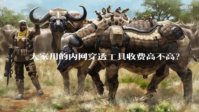 大家用的内网穿透工具收费高不高？