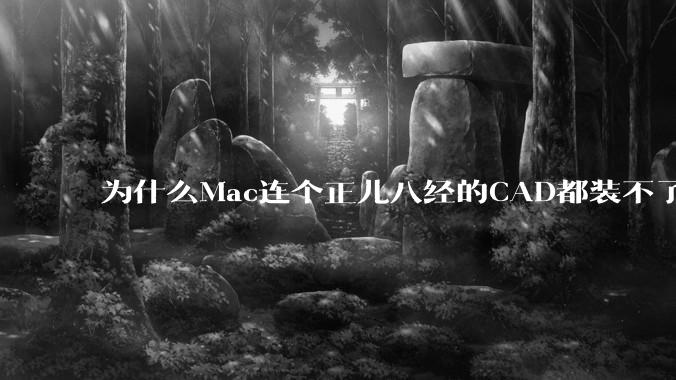 为什么Mac连个正儿八经的CAD都装不了还敢打着生产力的旗号？
