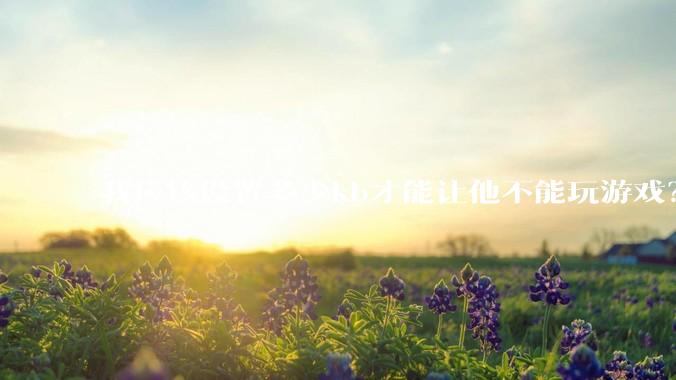 我应该设置多少kb才能让他不能玩游戏？