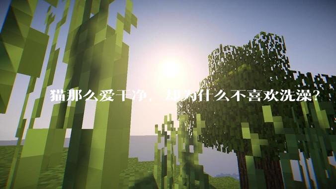 猫那么爱干净，却为什么不喜欢洗澡？