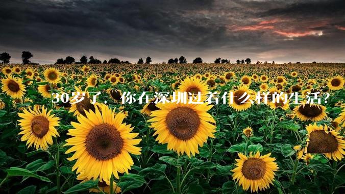 30岁了，你在深圳过着什么样的生活？