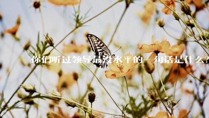 你们听过领导最没水平的一句话是什么？
