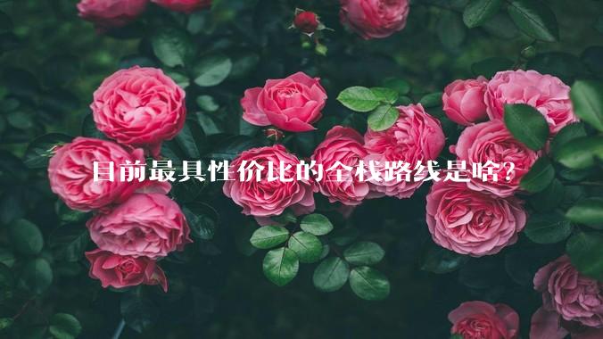 目前最具性价比的全栈路线是啥？